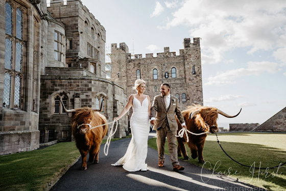 Bride and groom walk with two Crazy Critters Experience Highland cows outside a Scottish castle wedding venue.