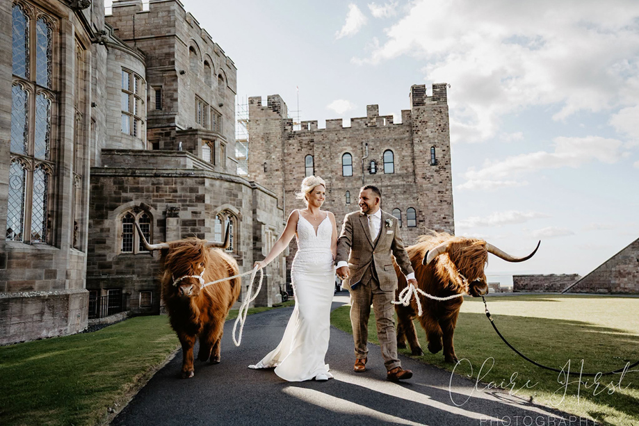 Bride and groom walk with two Crazy Critters Experience Highland cows outside a Scottish castle wedding venue.