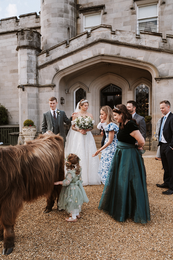 Flower girl pets a Crazy Critters Experience Highland cow as the wedding party gathers outside Dundas Castle.