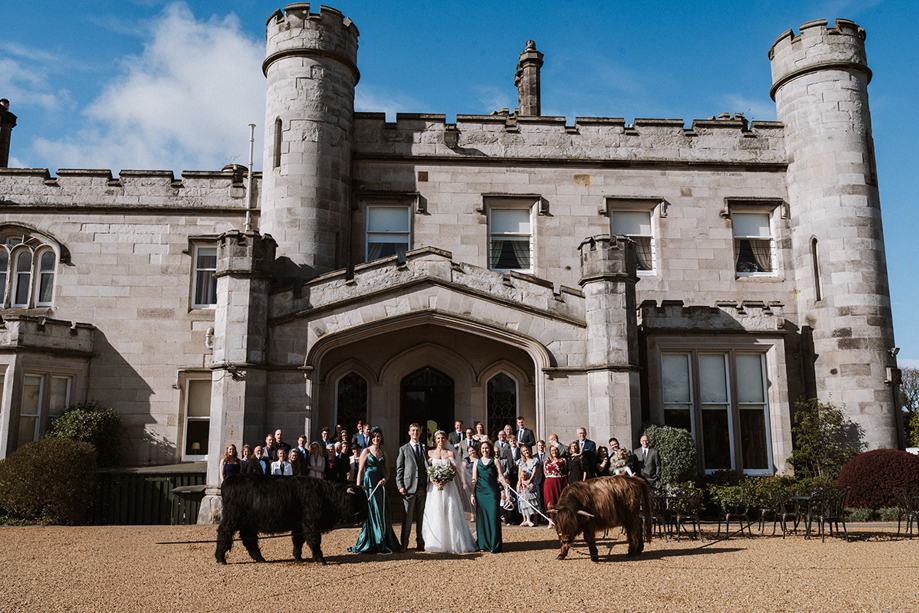 Bride, groom and wedding guests pose with two Crazy Critters Experience Highland cows outside Dundas Castle.