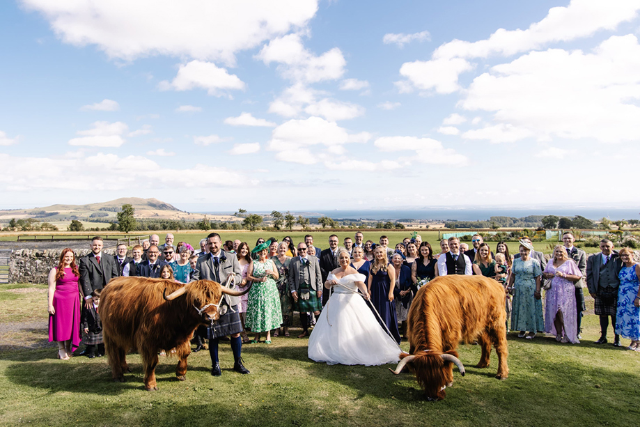 Bride, groom and wedding guests pose with two Crazy Critters Experience Highland cows in the Scottish countryside.