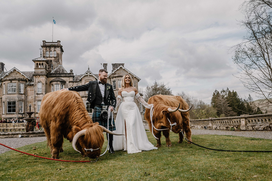 Bride and groom pose with two grazing Highland cows from Crazy Critters Experience outside a historic Scottish wedding venue.