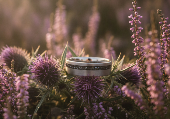 Forge & Lumber Nova wedding ring with a dark textured inlay photographed among purple Scottish thistles and heather.