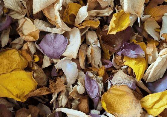 Ezra's confetti - natural dried flower petals