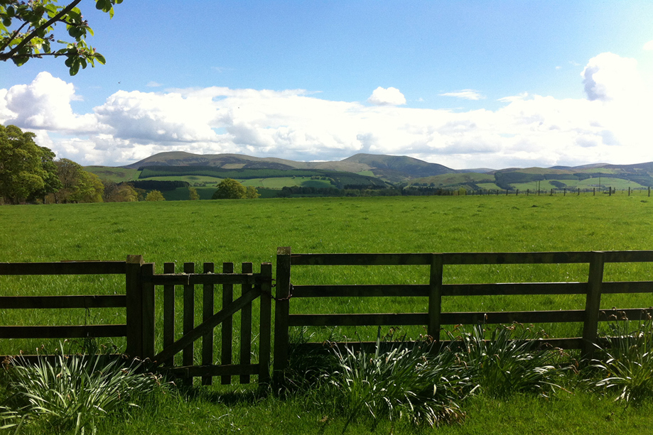Wooden gate opening onto open fields and countryside views surrounding Cormiston Farm