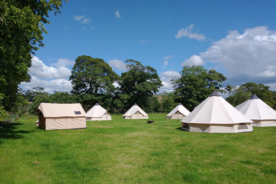 Bell tent glamping setup at Cormiston Farm on grassland with trees and blue skies