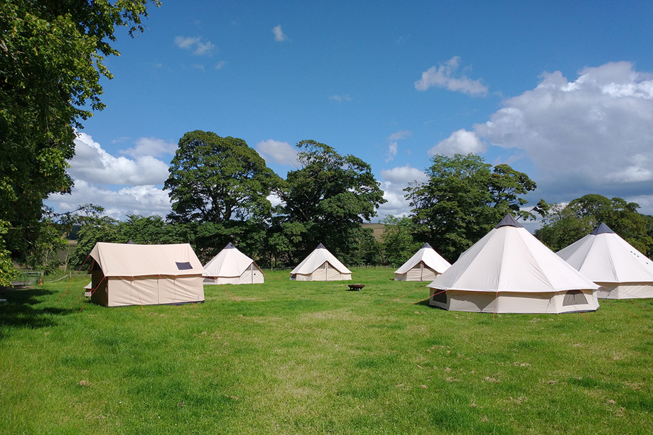 Bell tent glamping setup at Cormiston Farm on grassland with trees and blue skies